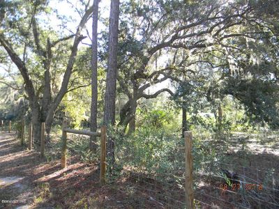 19395 NE 75th Ave, Citra, FL, 32113