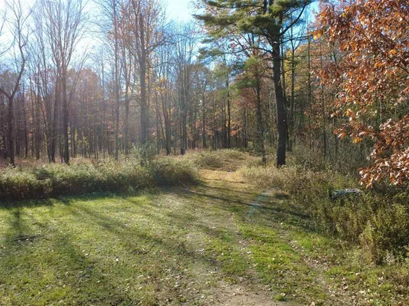 208220 Kane Lane, Mosinee, WI 54455