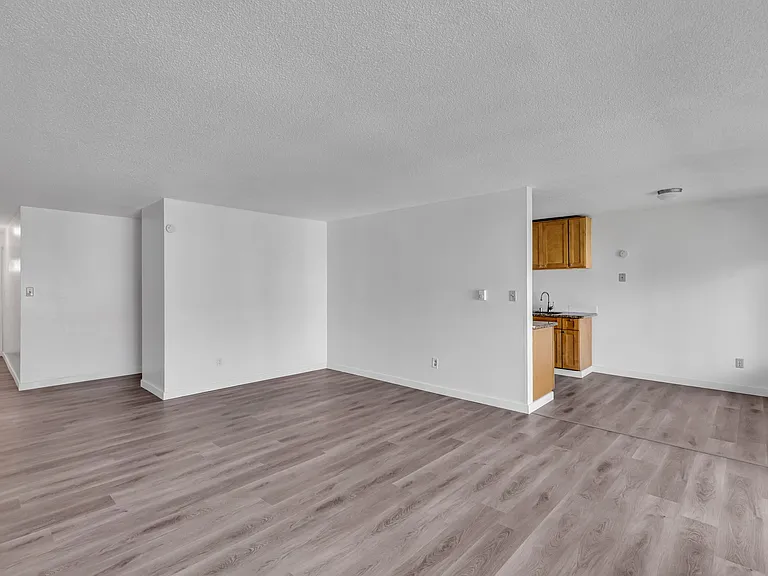 Living room, dining room and kitchen