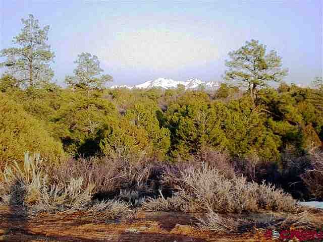 1st image of 19480 Road 31