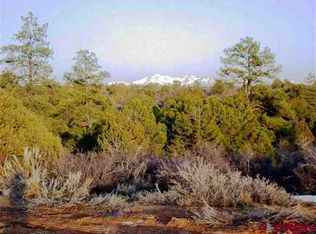 19480 Road 31, Dolores, CO 81323