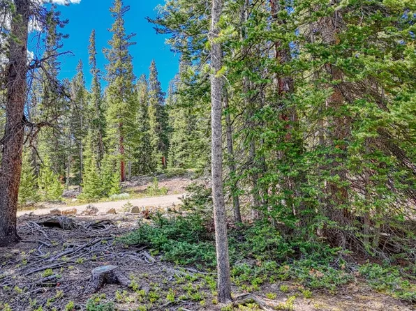 126 Gold Trail Cutoff, Fairplay, CO 80440