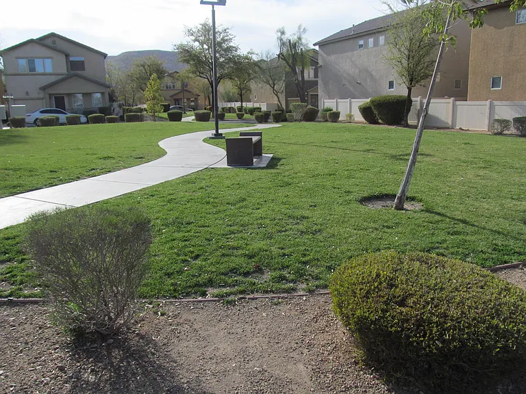 6776 Firewood Dr — Photo 35