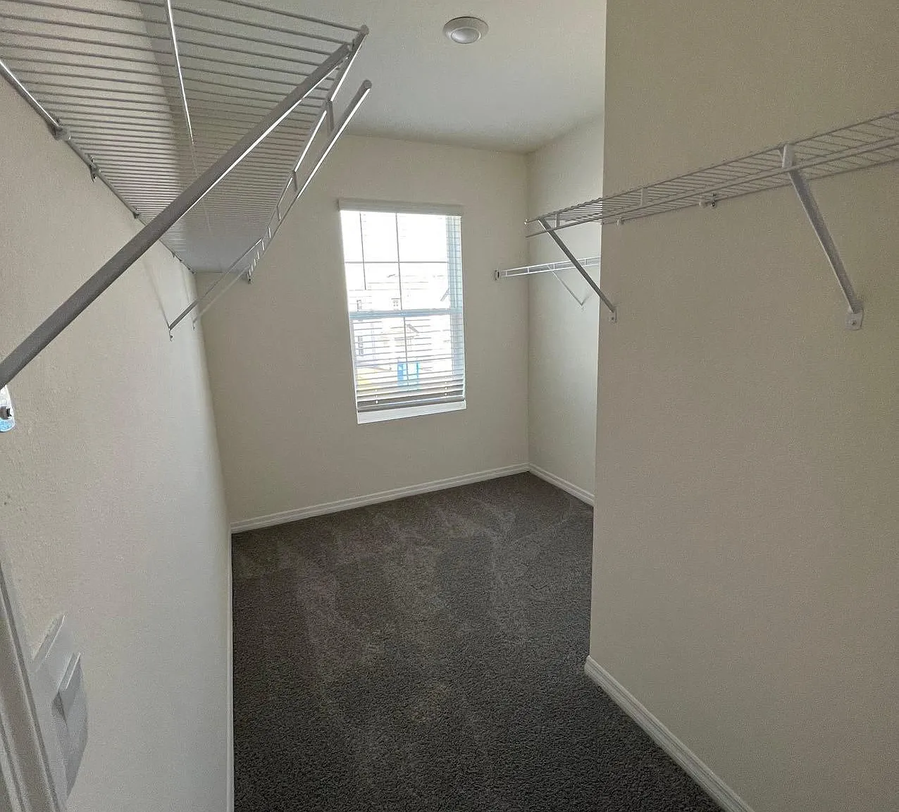 10767 Penny Gale Loop — Photo 4