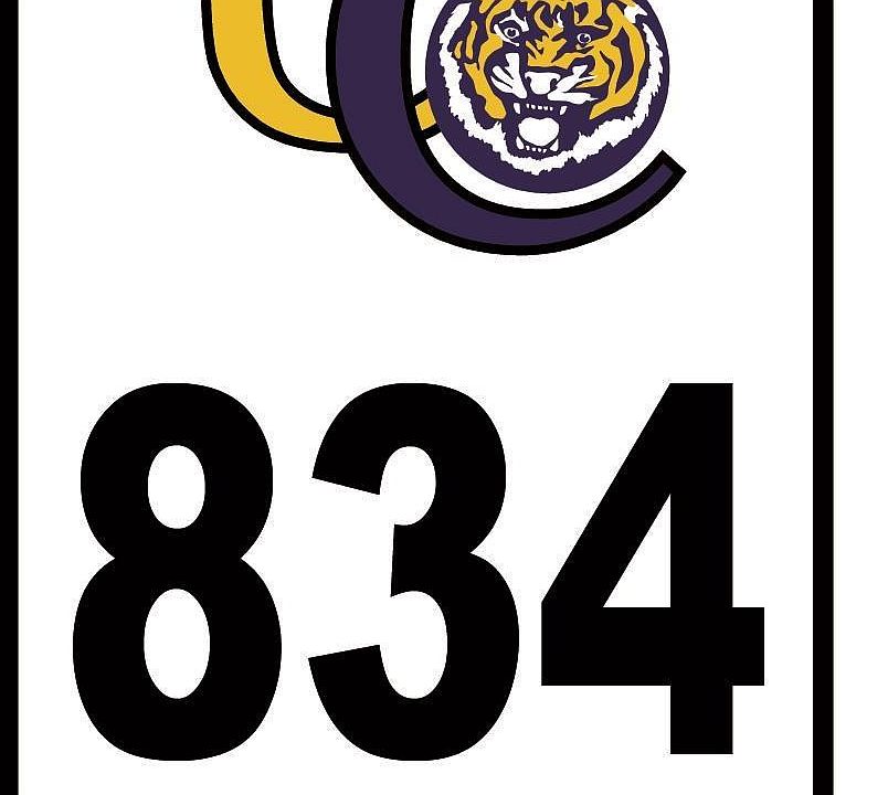 2nd image of 1736 Tiger Crossing Dr