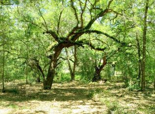 13801 SW 107th Ln, Dunnellon, FL 34432