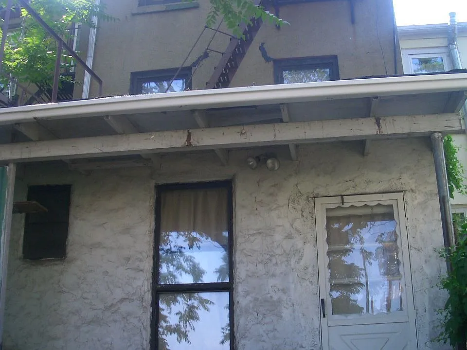 back view