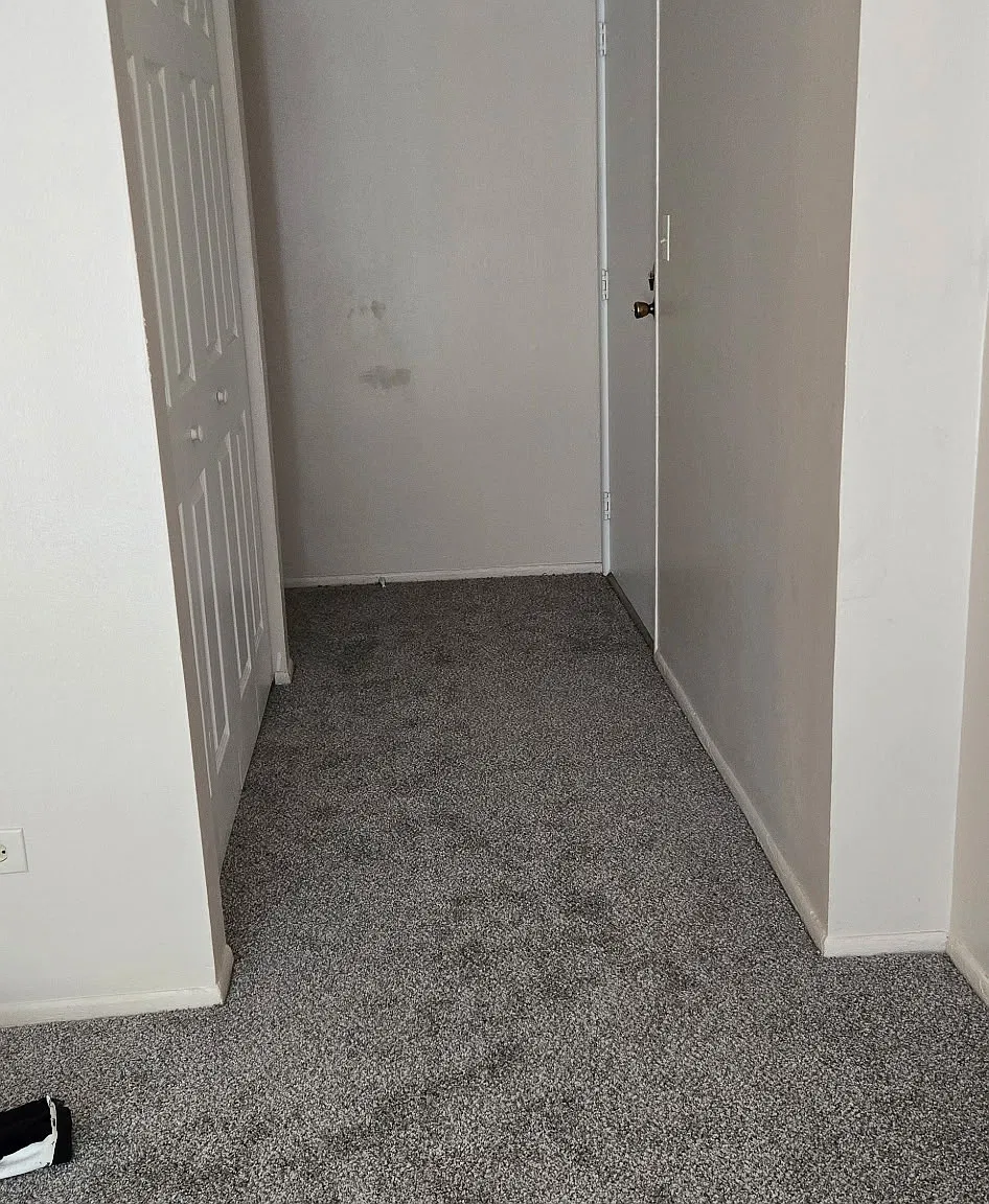 1 bed, 750 sqft, $1,450 — Photo 3