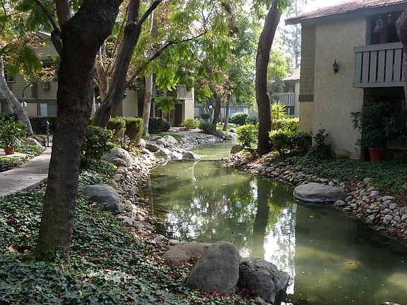 Creeks throughout property