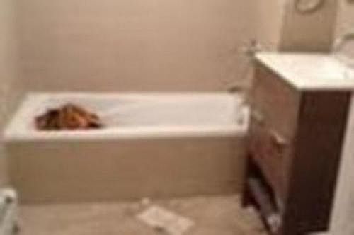 1st image of 318 Clifton Pl APT 2