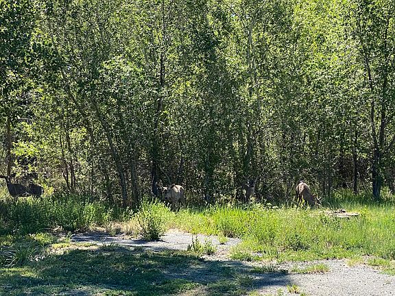 4th image of 71 N Eagar St