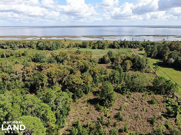 East facing Lake Istokpoga