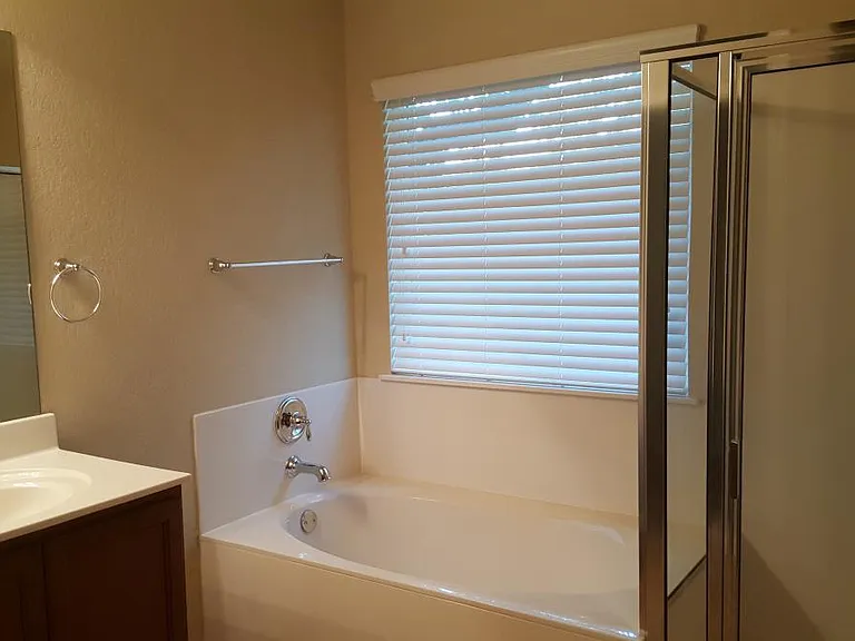 Primary Bath - Shower and Garden Tub
