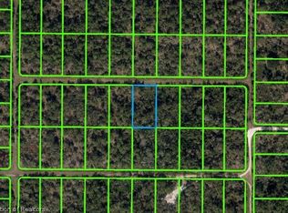 2901 W Blanda Rd, Avon Park, FL 33825