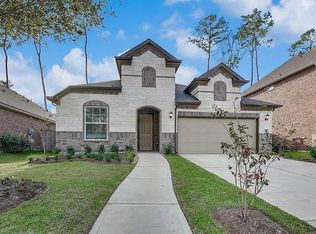 22611 Birch Ridge Meadow Dr, Spring, TX 77389
