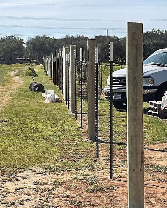 New fence South side 2023