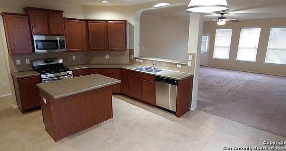 4th image of 12426 Painted Daisy