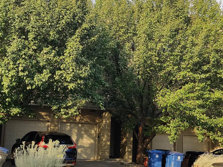 76 Loma Vista Dr — Photo 26