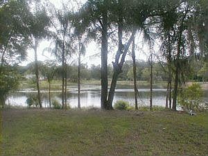 Lake on 1/2 Acre