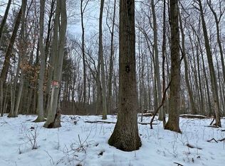 40th Ave, Remus, MI 49340