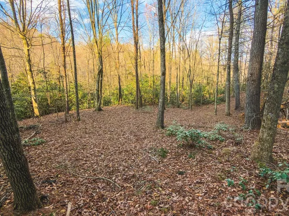 All Healing Springs Rd #2, Taylorsville, NC 28681