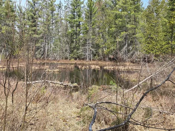 13991 Royston Rd, Hawks, MI 49743
