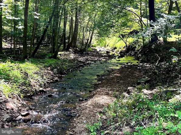 Pioneer Ln, Boyce, VA 22620