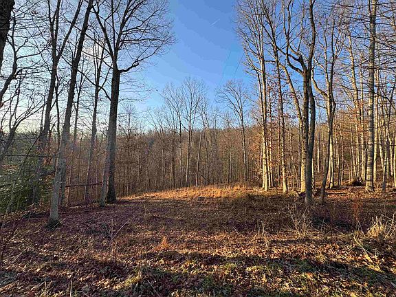 3rd image of 0 Polecat Rd