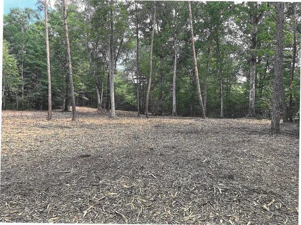 0 Warrick Barn Rd, Amherst, VA 24521