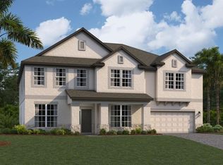 10602 New Morning Dr, Tampa, FL 33647
