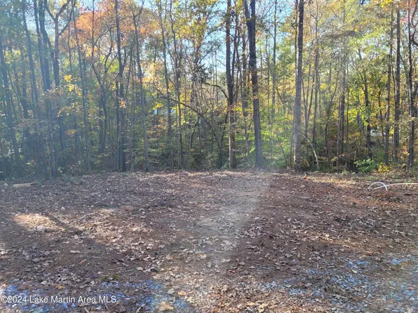 249 Cove Dr, Eclectic, AL 36024
