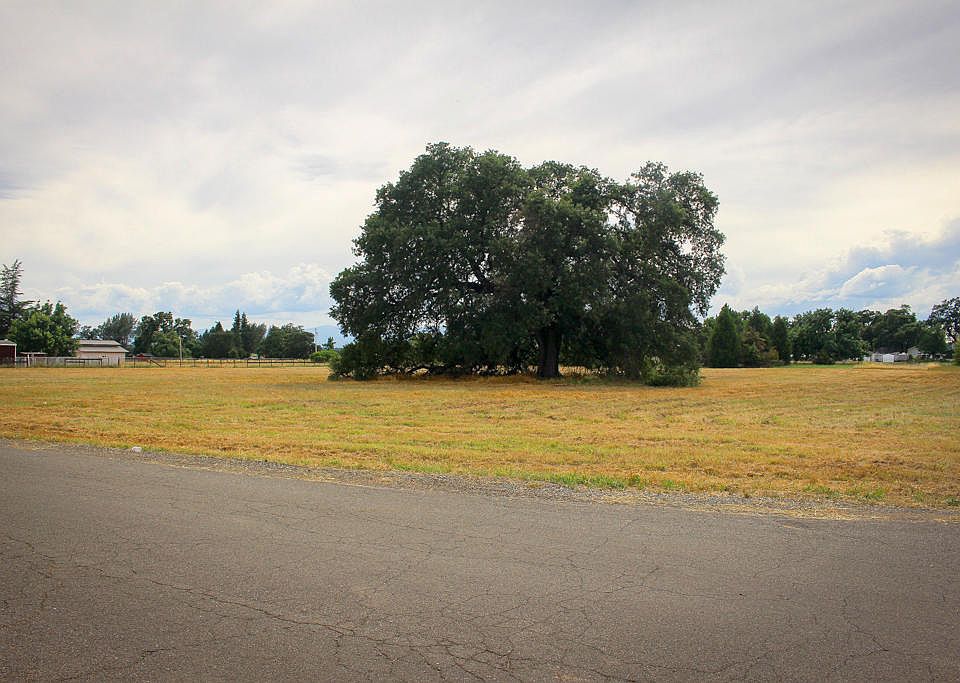 1st image of Majestic Oak Circle