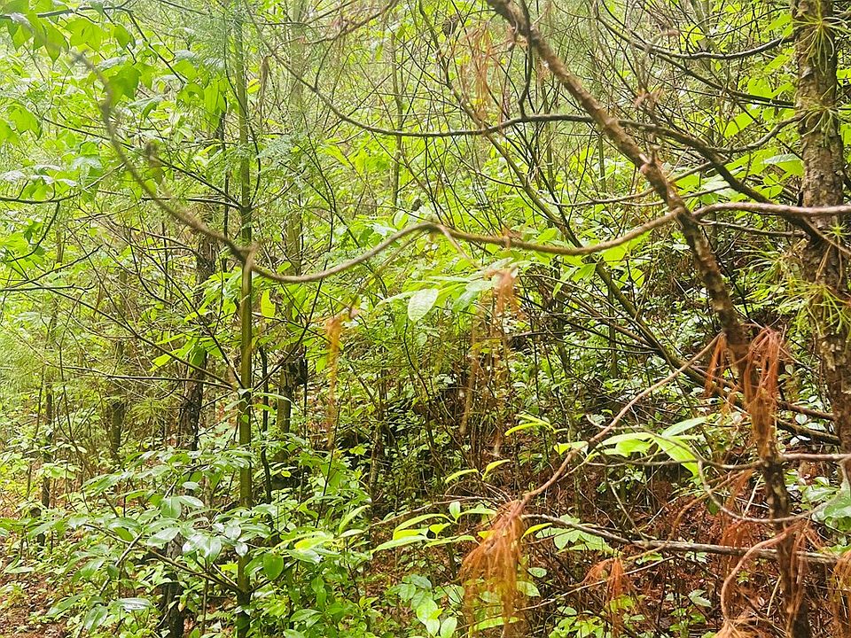 2nd image of 0 Owl Creek Rd