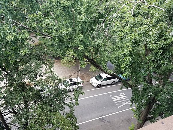 3rd image of 217 Cumberland St APT 5