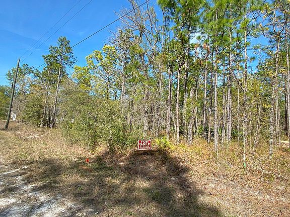 Looking NE from SW corner