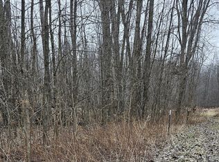 0 Chase Lake Rd, Fowlerville, MI 48836