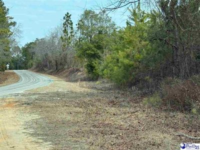 24/TRACT Auction Barn Rd, Cheraw, SC, 29520