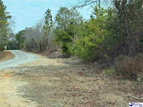 24/TRACT Auction Barn Rd, Cheraw, SC 29520