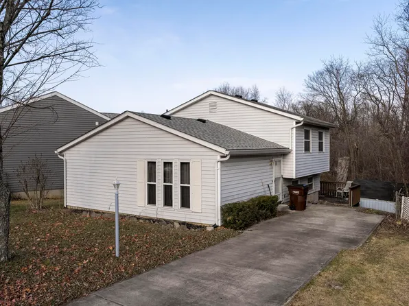 4196 Boxwood Ln, Independence, KY 41051