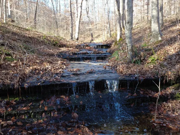 314 Burns Hollow Rd, Waynesboro, TN 38485