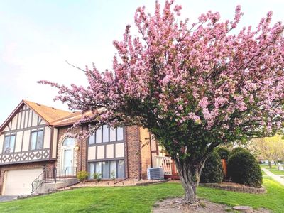 17590 Drummond Dr #169, Tinley Park, IL, 60487