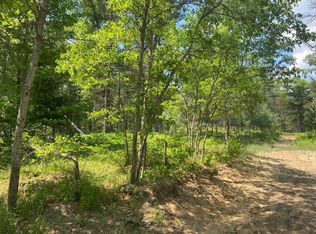 Chicago Blvd, Grayling, MI 49738