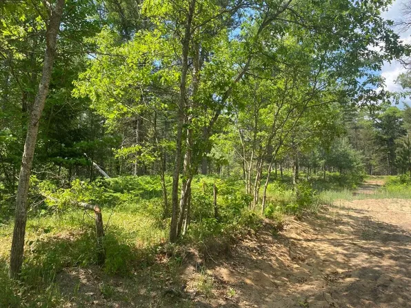 Chicago Blvd, Grayling, MI 49738