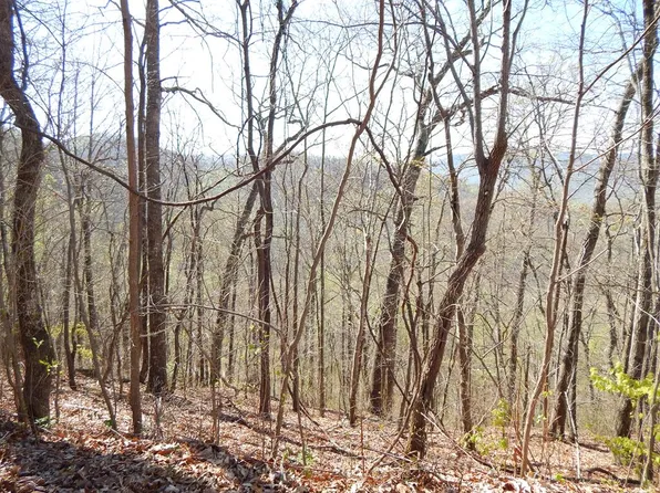 16-18 Burnt Leaf Ln, Hayesville, NC 28904