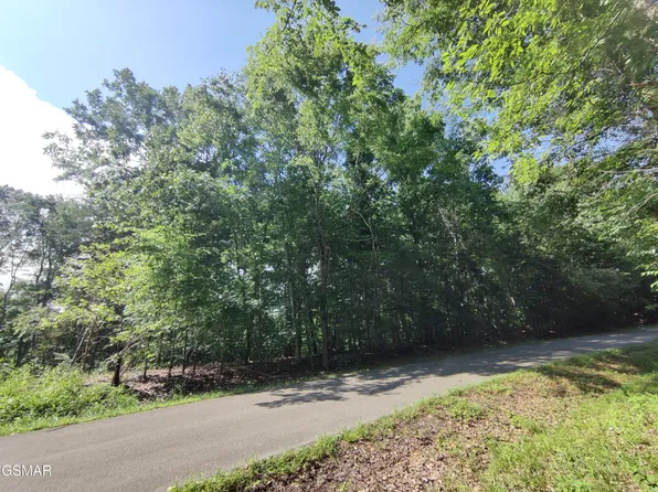 3347 Mountain View Ln Lot 1100, White Pine, TN 37890