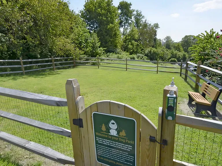 Dog Park