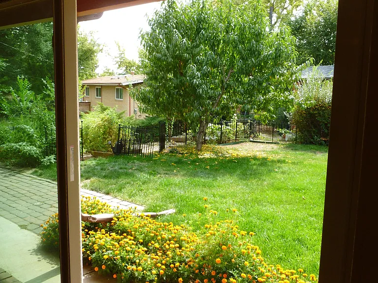 Backyard (1/4 acre) from living room window