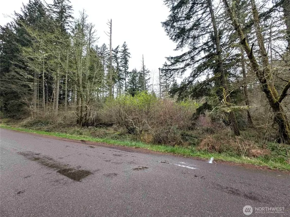 10618 Tahoma Drive, Anderson Island, WA 98303