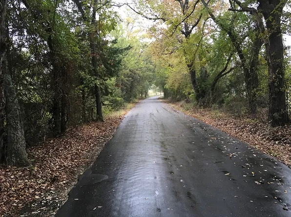 Rains County Rd #3150, Emory, TX 75440