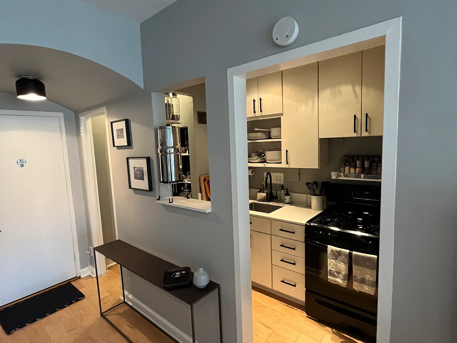 1 bed, 515 sqft, $2,500 — Photo 3